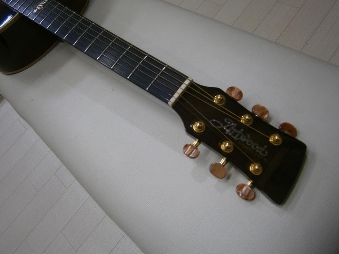 期間限定特価・アイバニーズ＜AW1010＞オール単板仕様・日本製