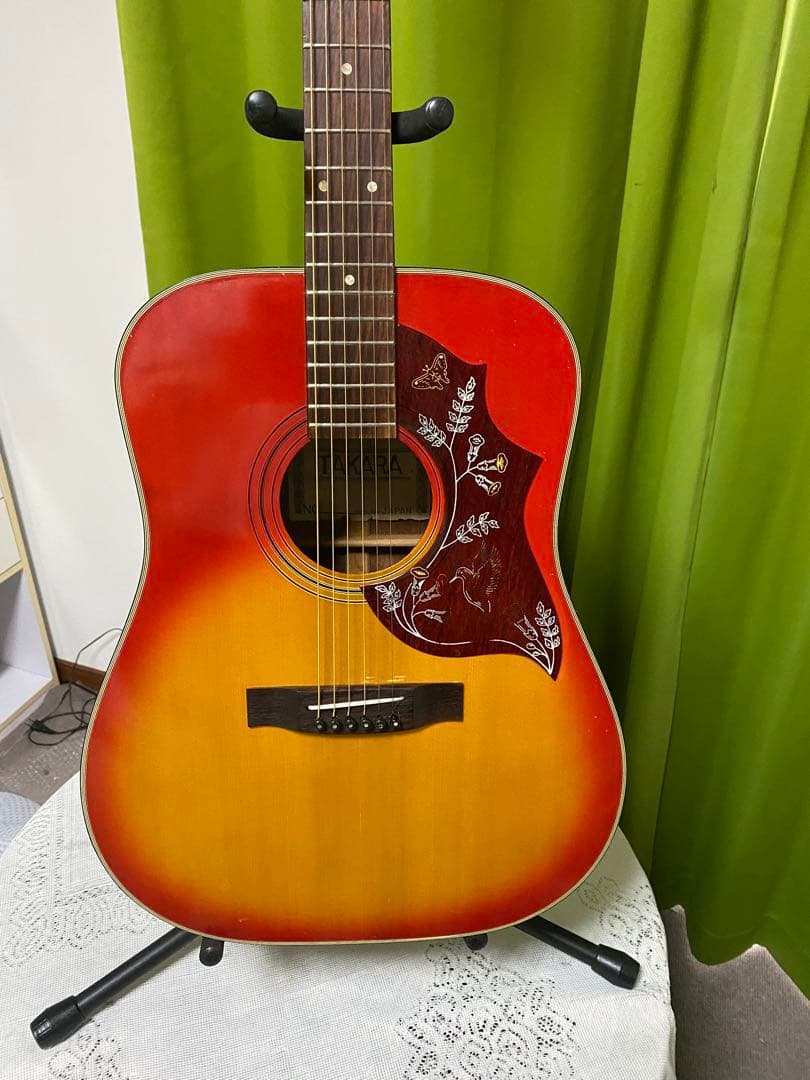 新春特価カントリーしようぜ！ハミングバードHottaエレアコ音出し良好