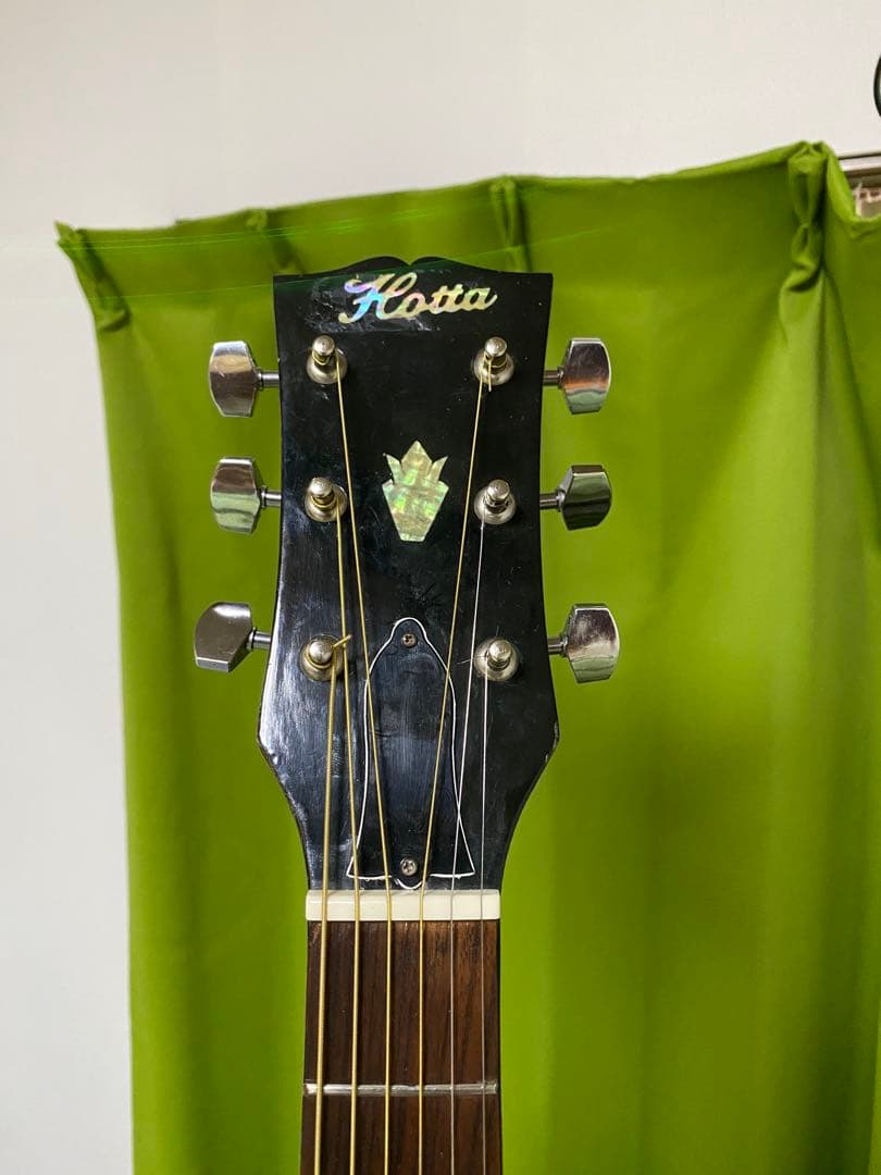 新春特価カントリーしようぜ！ハミングバードHottaエレアコ音出し良好