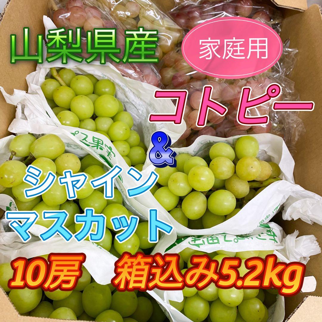 山梨県産　訳あり家庭用　シャインマスカット　コトピー　10房箱込み5.2kg ②