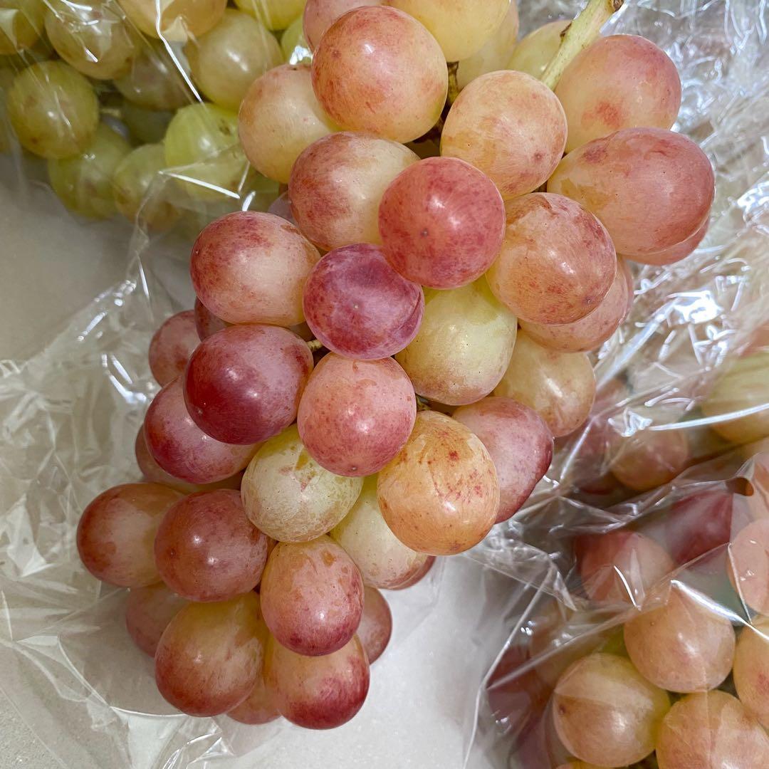 山梨県産　訳あり家庭用　シャインマスカット　コトピー　10房箱込み5.2kg ②