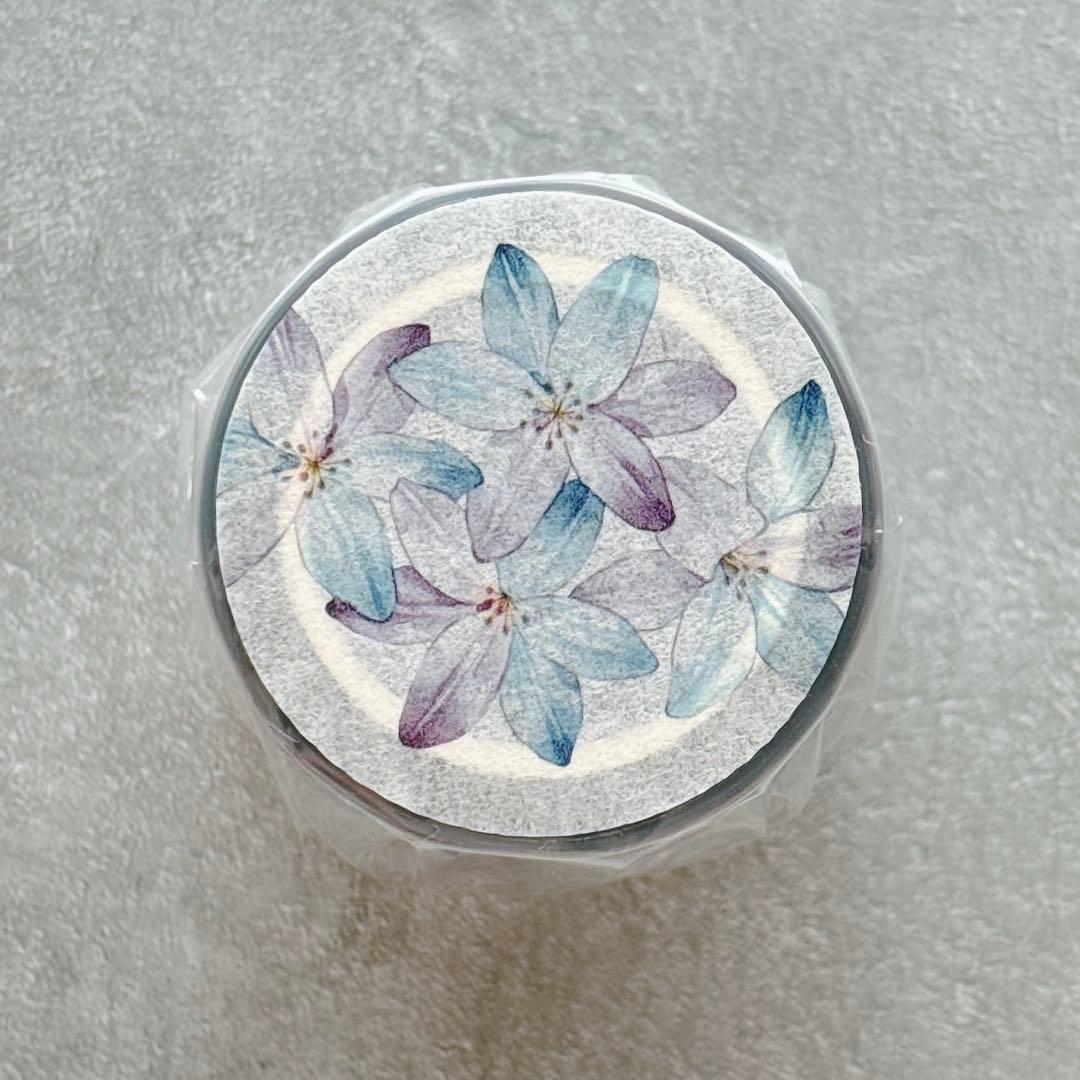 咔咔STUDIO《风雨兰》海外マスキングテープ　マステ 【2642】