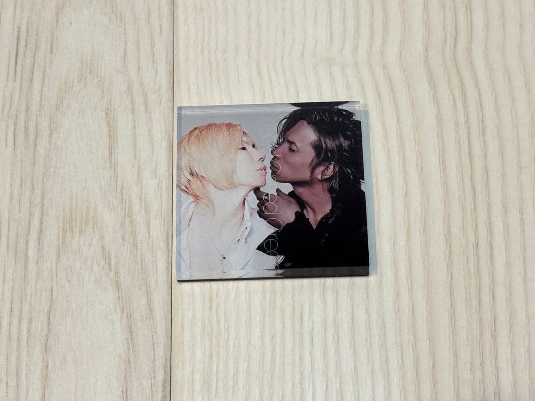 AcidBlackCherry アクリルマグネット