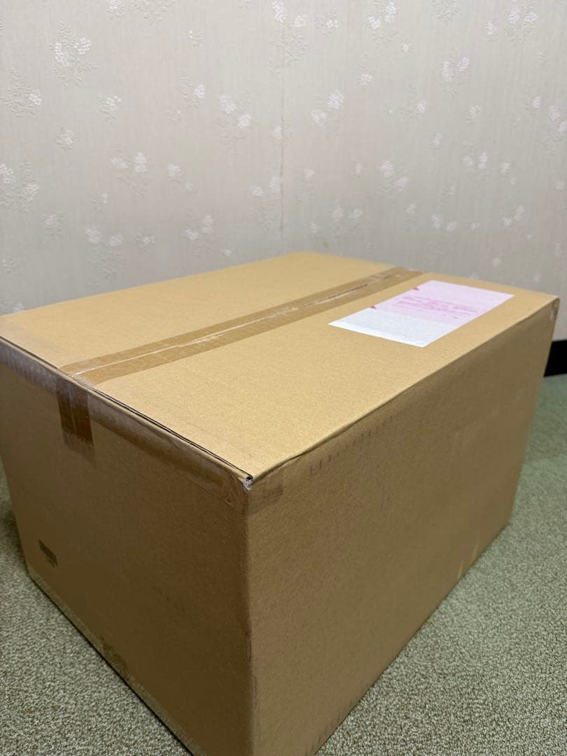 東宝30cmシリーズ ゴジラ2023 一般流通版 ゴジラ-1.0