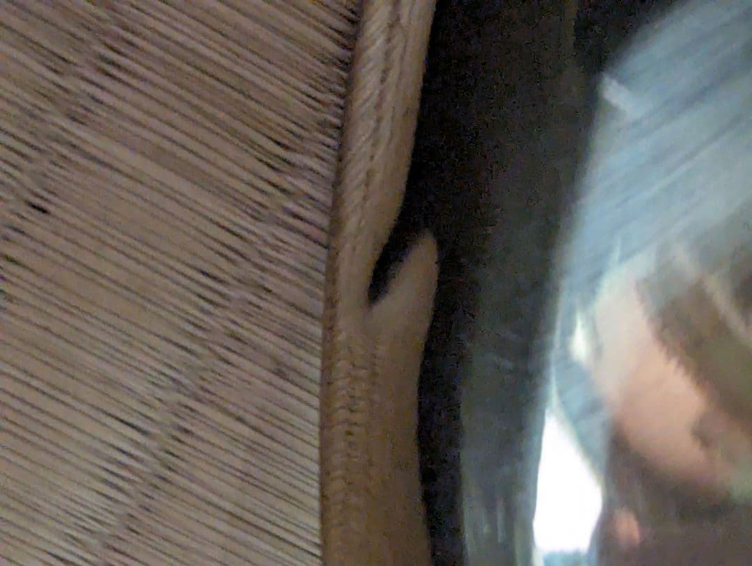 MAXTONE マックストーン　信号ラッパ 3つ巻 ゴールド仕上げ 中古