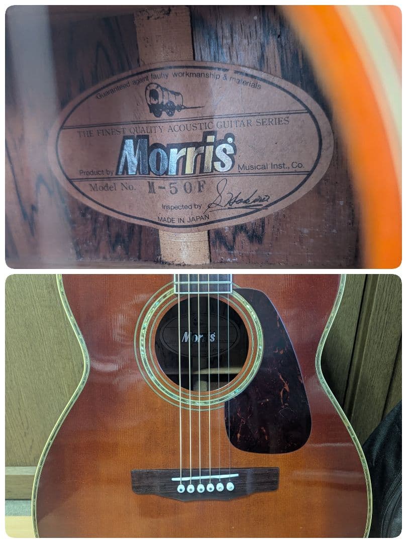 ♪訳あり！Morris　M-50F ハカランダ♪