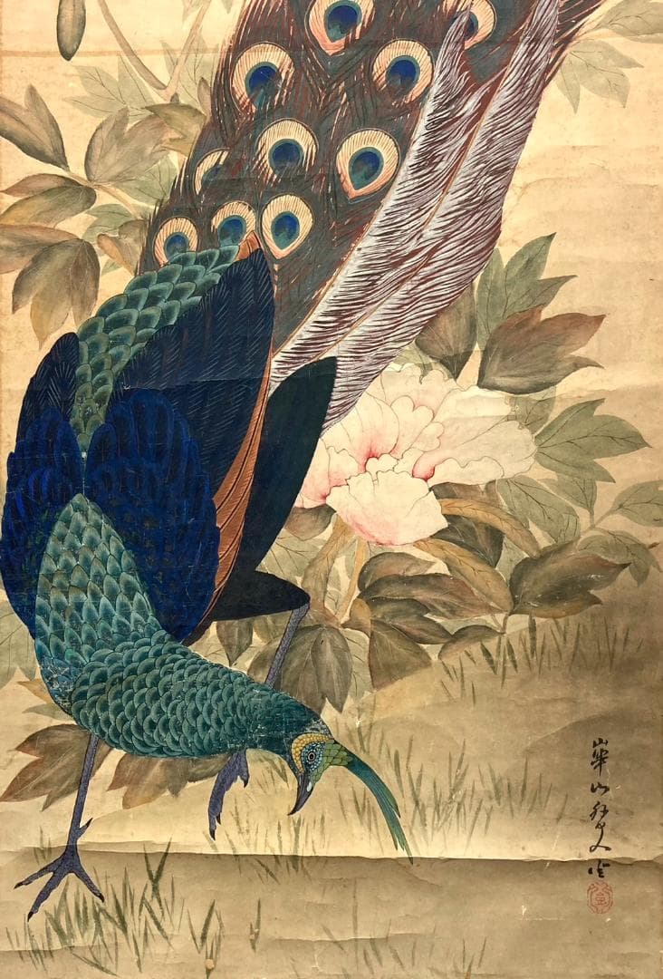 渡辺崋山「孔雀」掛軸 紙本 識箱 二重箱：江戸時代後期
