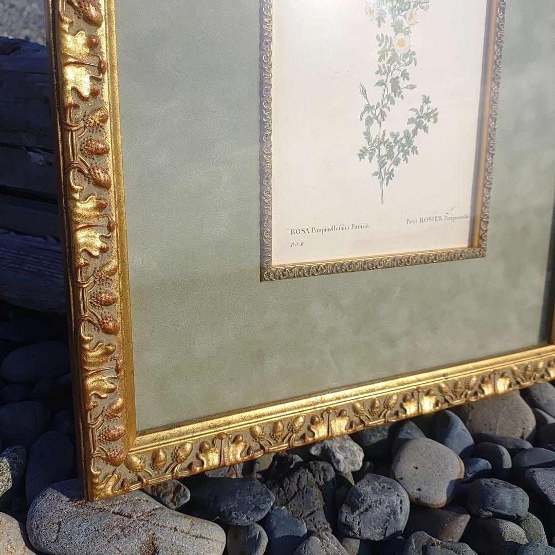 アンティーク額 ルドゥーテ バラ図譜 オクターヴォ版 ボタニカルアート