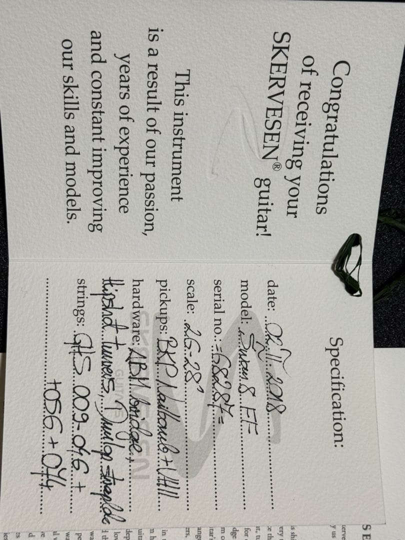 ギター Skervesen Swan 8