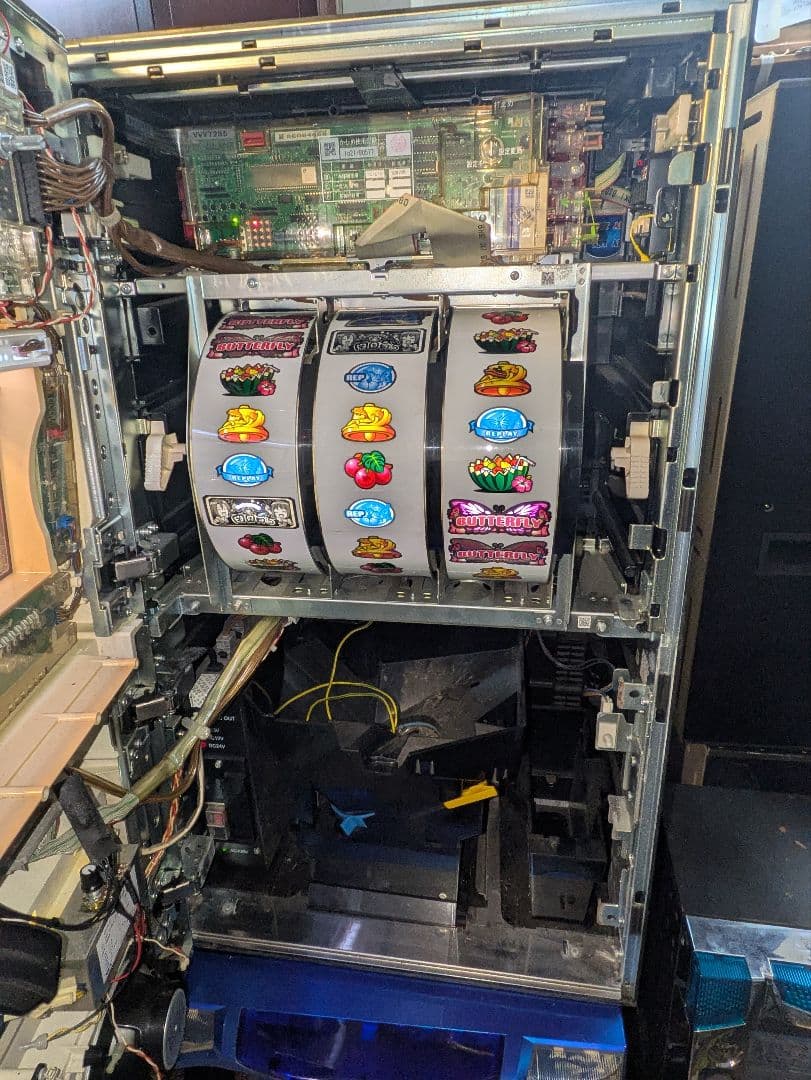 南国育ち　1st　vacation