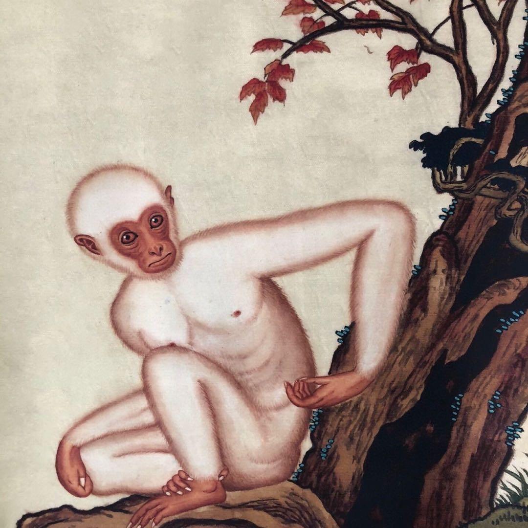 郎世宁 猿図 掛け軸｜三尺中堂｜十二生肖・申｜表装済み