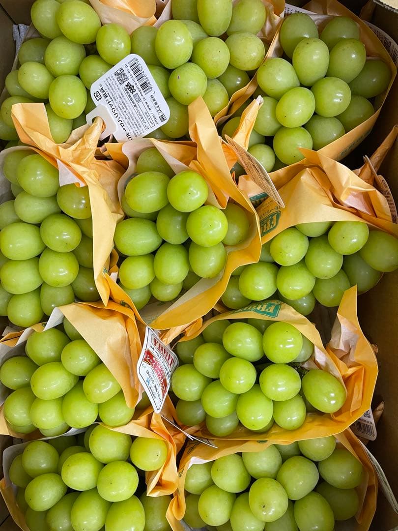 あきもも　長野県シャインマスカット11房5キロ高級品質