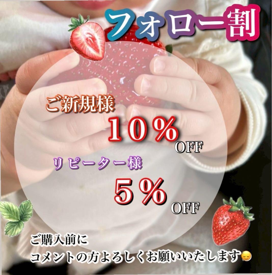 三田村さま専用　とちあいか いちご 4箱