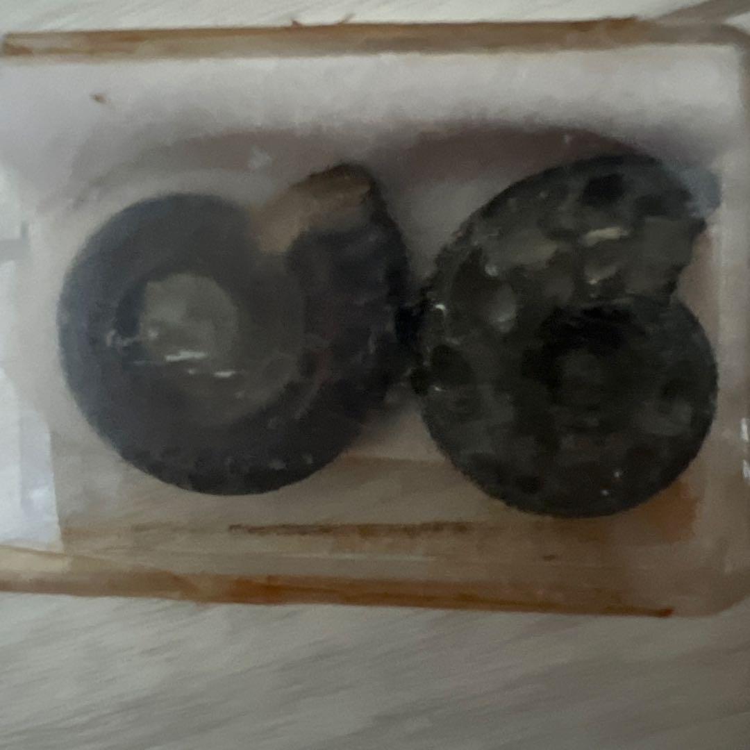 珍しい石&化石 セット アマゾナイトetc