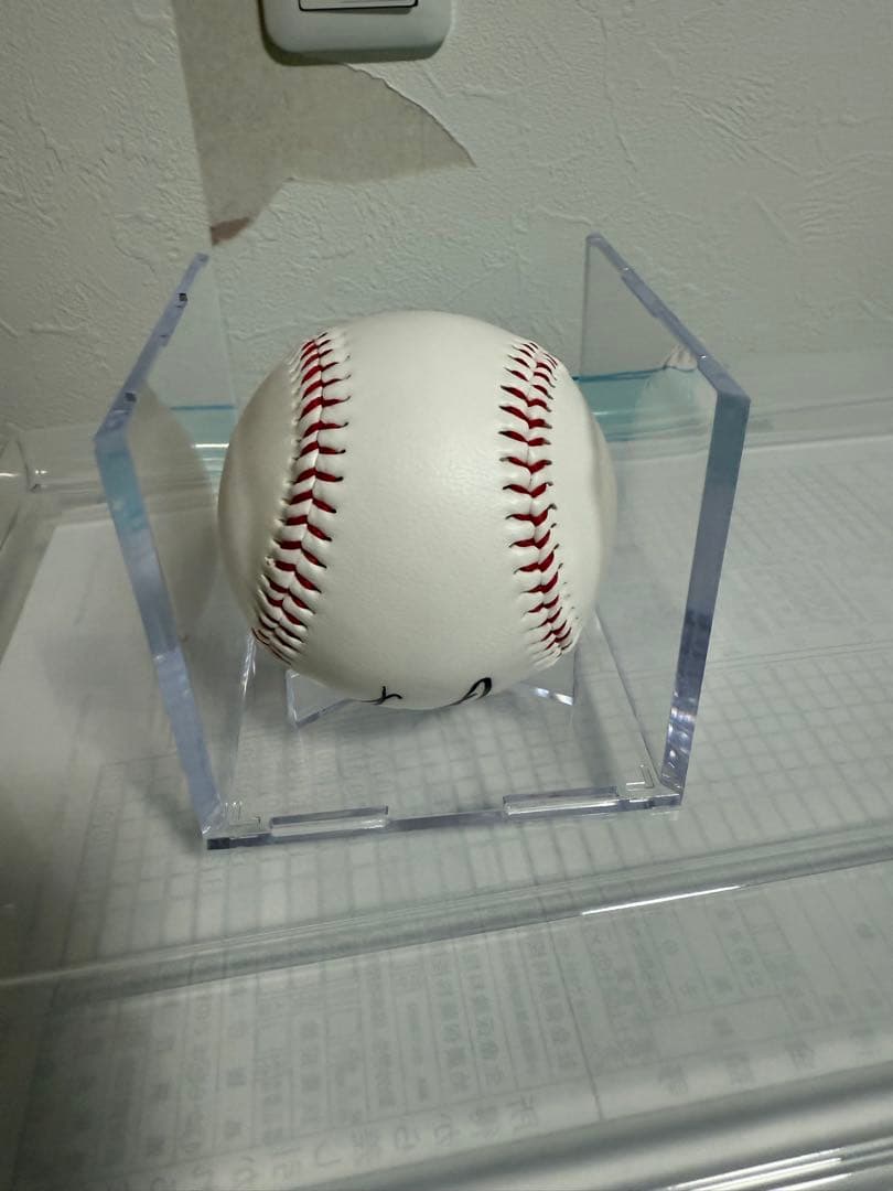 直筆サイン入り2024春季キャンプボール　伊藤大海　貴重！最多勝！最高勝率！二冠