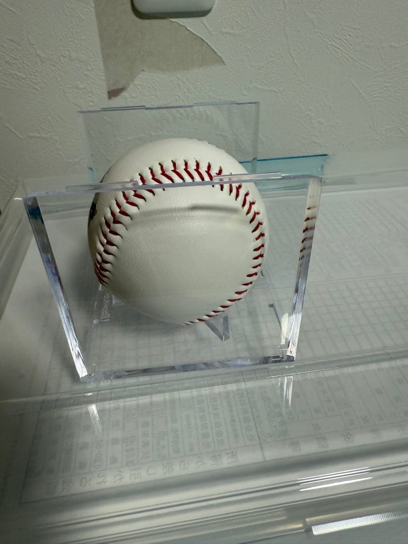 直筆サイン入り2024春季キャンプボール　伊藤大海　貴重！最多勝！最高勝率！二冠