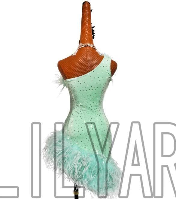 社交ダンスドレス 新色 ラテンワンピースドレス 豪華 羽スカート オーダーメイド