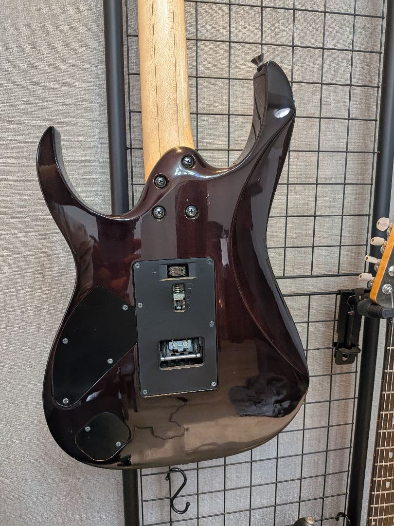 ギター Ibanez J.Custom RG8570