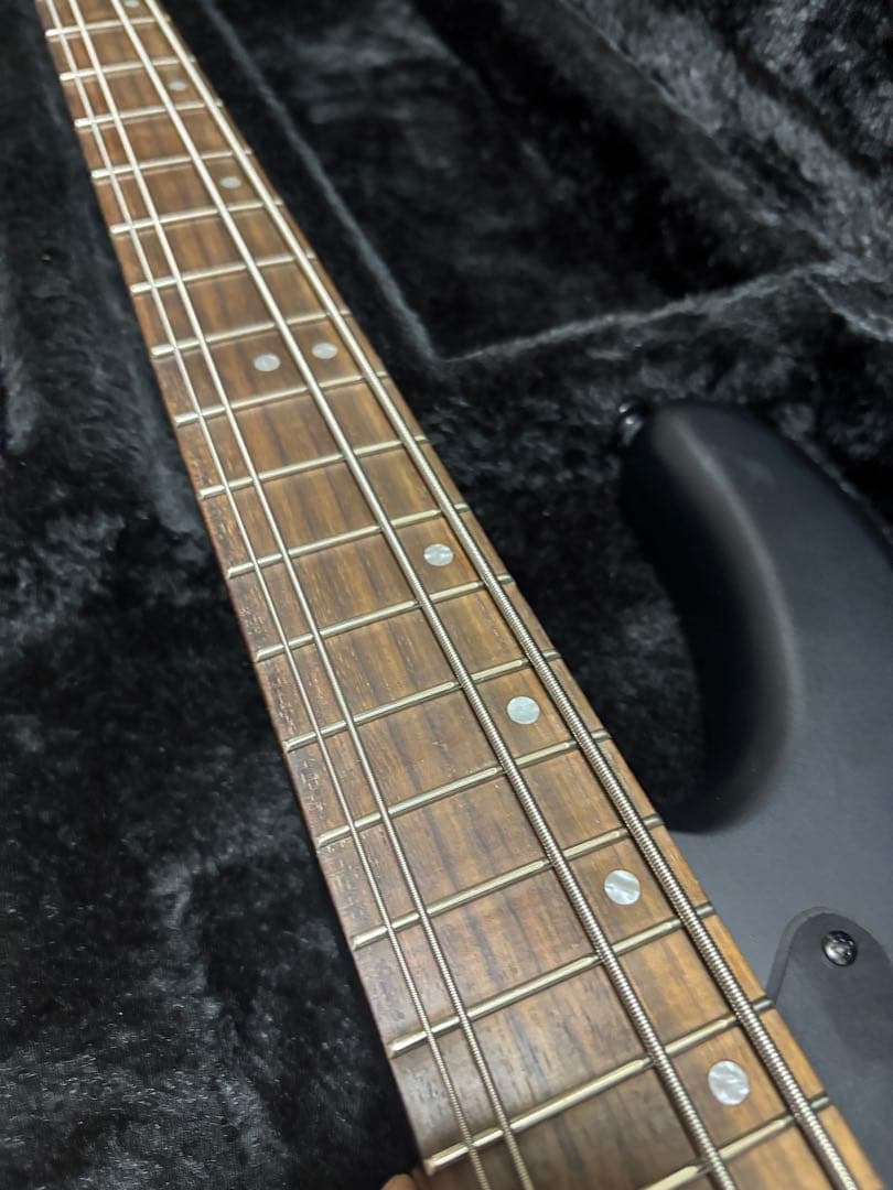 SCHECTER ( シェクター )STEALTH-4 レフティ