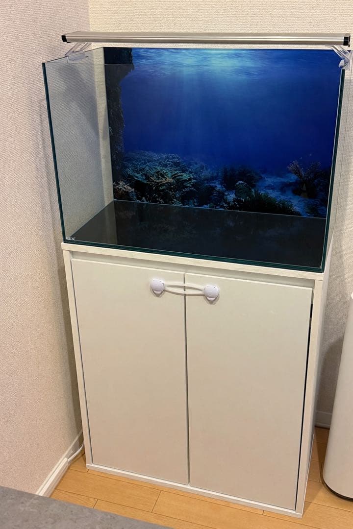 60cm水槽　水槽台　飼育フルセット