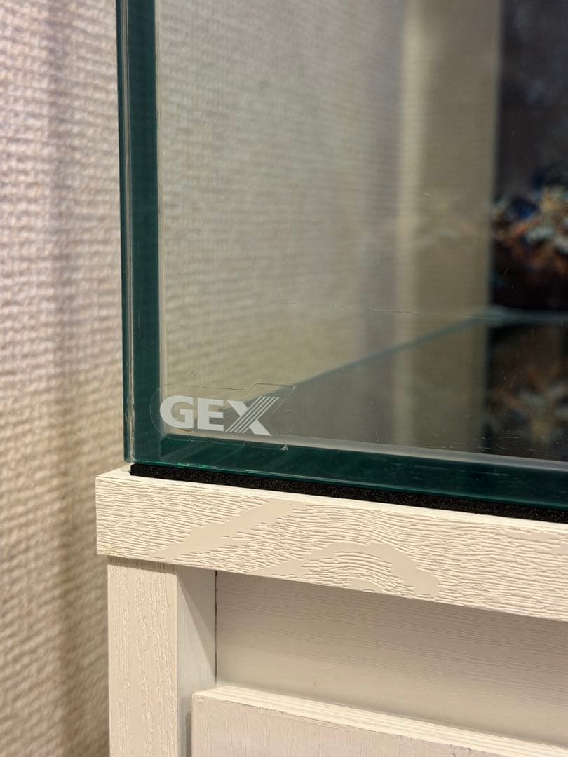 60cm水槽　水槽台　飼育フルセット