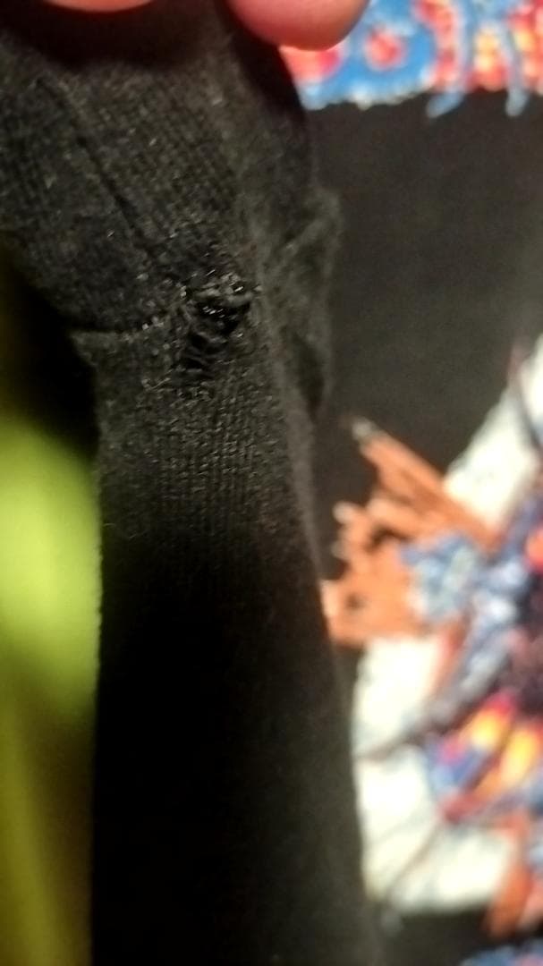 BRUTAL TRUTH 長袖Tシャツ(1995)