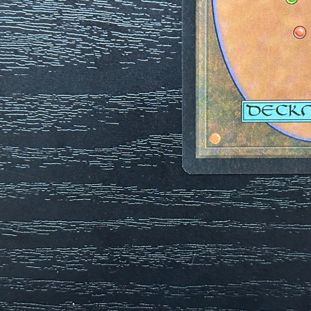 MTG 適者生存 英語