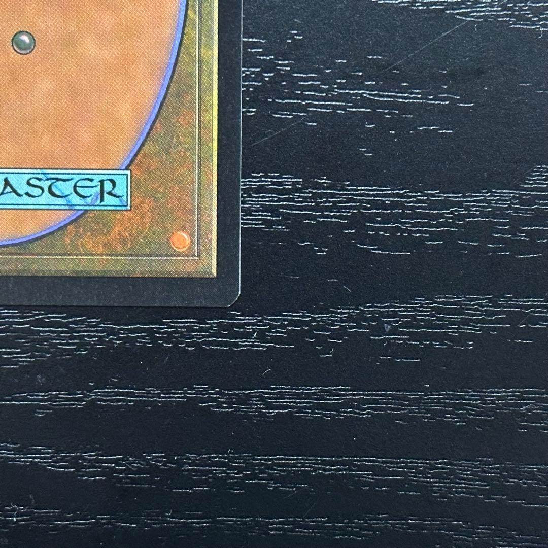 MTG 適者生存 英語