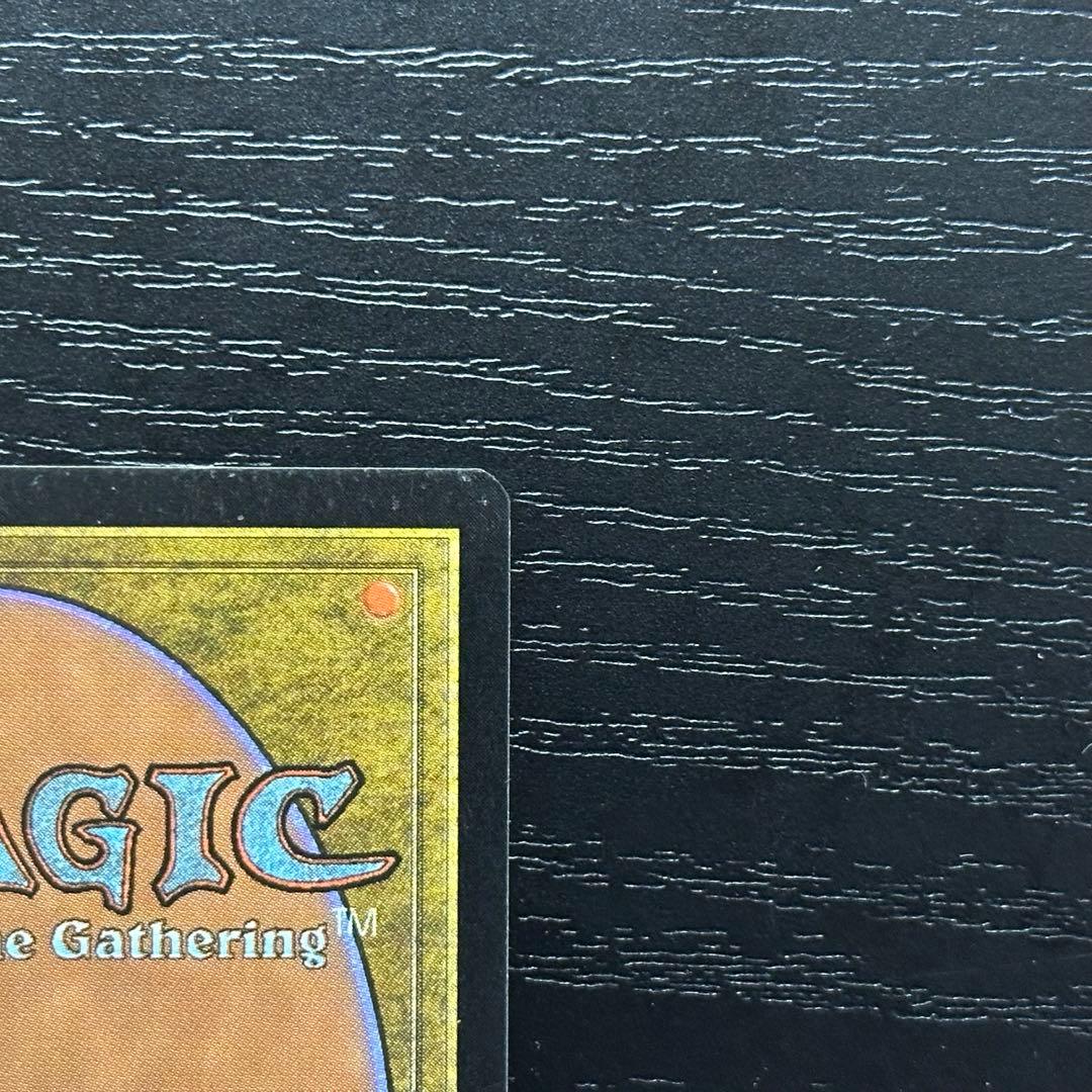 MTG 適者生存 英語