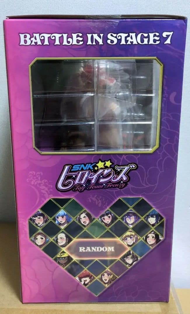 SNKヒロインズ Tag Team Frenzy テリー・ボガード 1/7