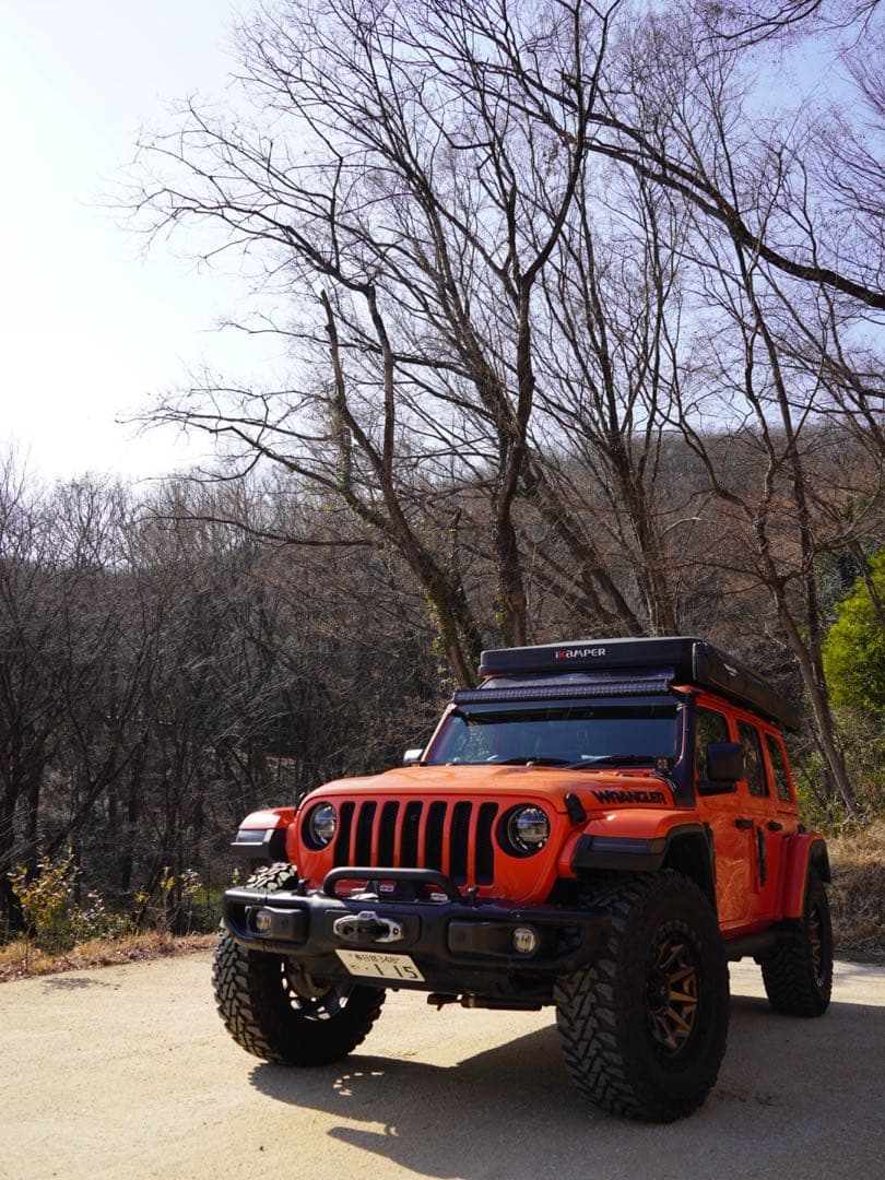 【送料込】RHINO-RACKライノラック バットウィング コンパクトオーニング