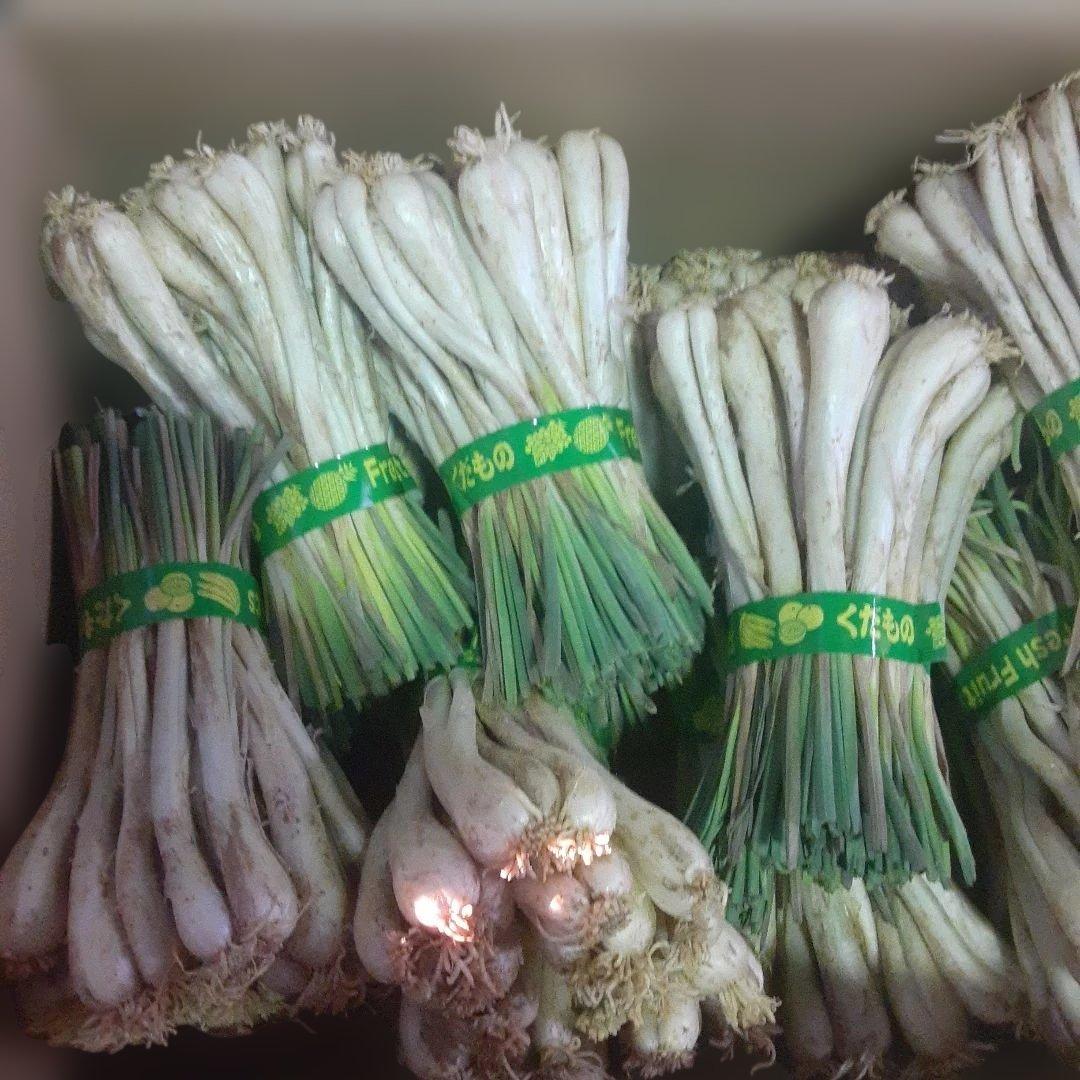 沖縄県産♪島らっきょう10㎏③