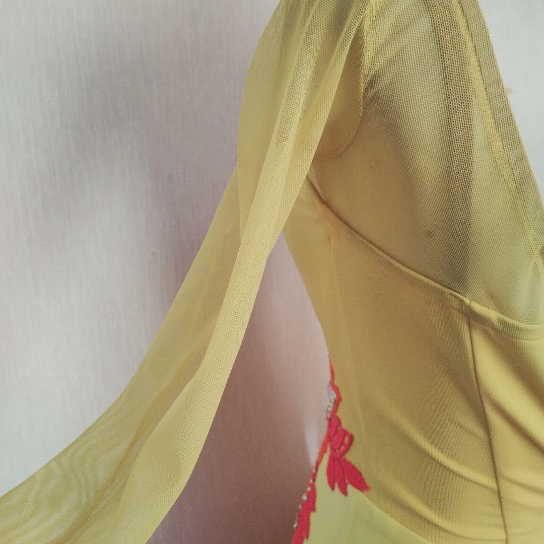 社交ダンス　ドレス　未使用 白樺ドレス　Ｓサイズ　スタンダード　フロート4本付き