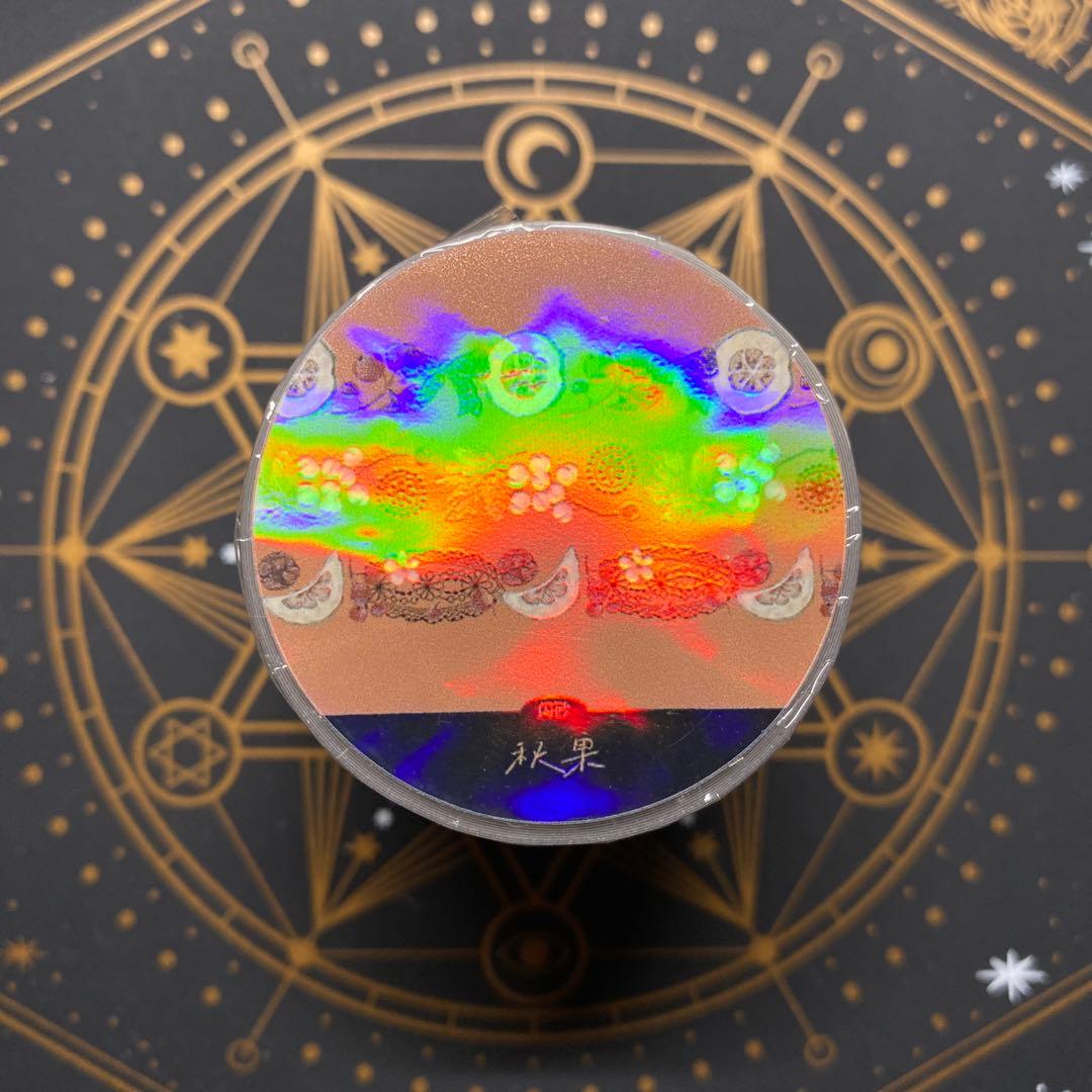 【8815】海外　マステ　5m巻売り　PETラメ加工カッティング秋の果実　木棉