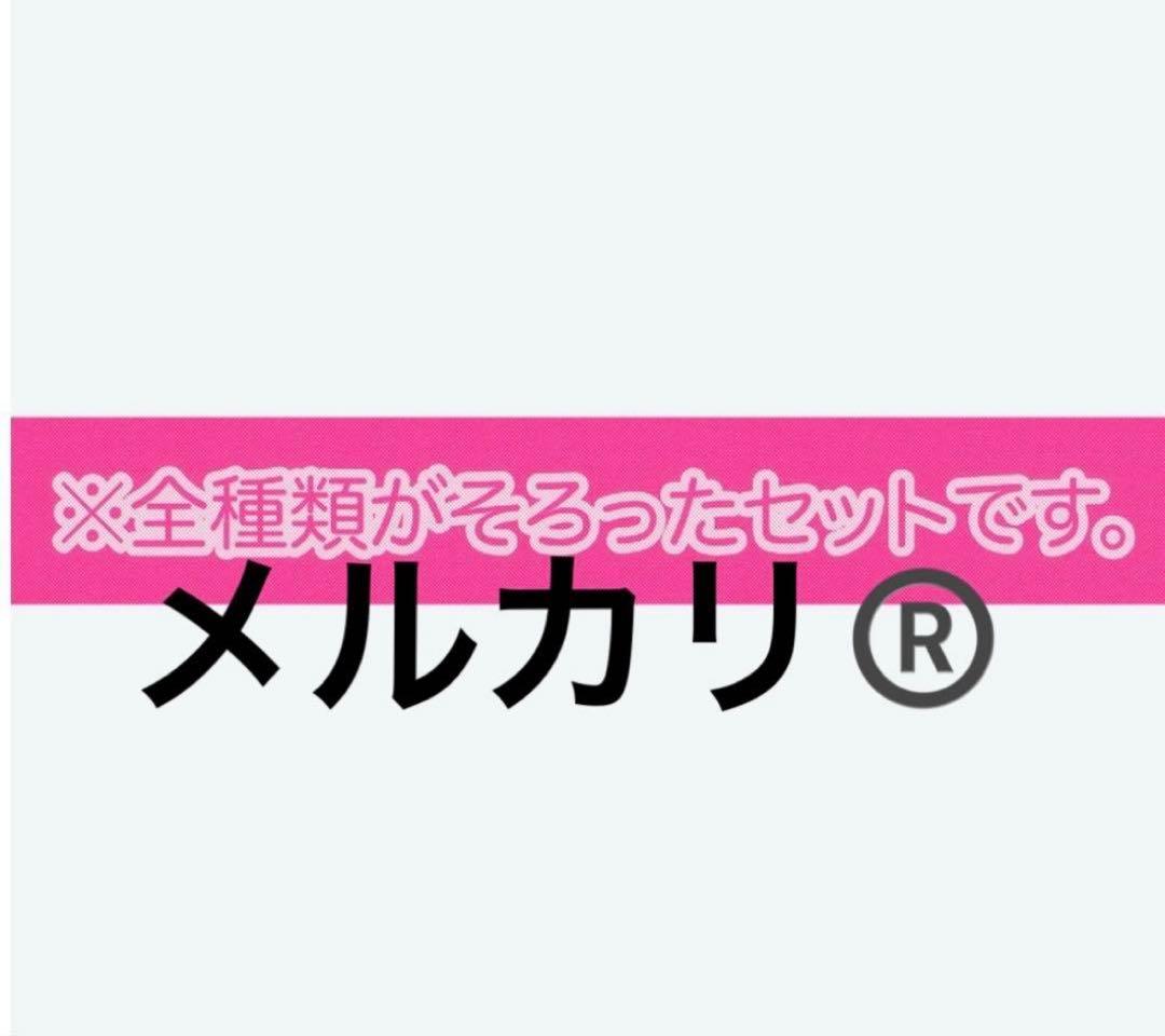 パルパルーザ■ワッペンアクセサリー■コンプリートBOX【新品未開封】【匿名発送】