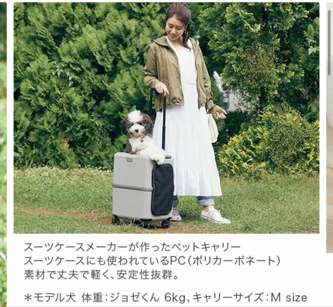 PET CARRY iCO Mサイズ 中型犬用キャリー
