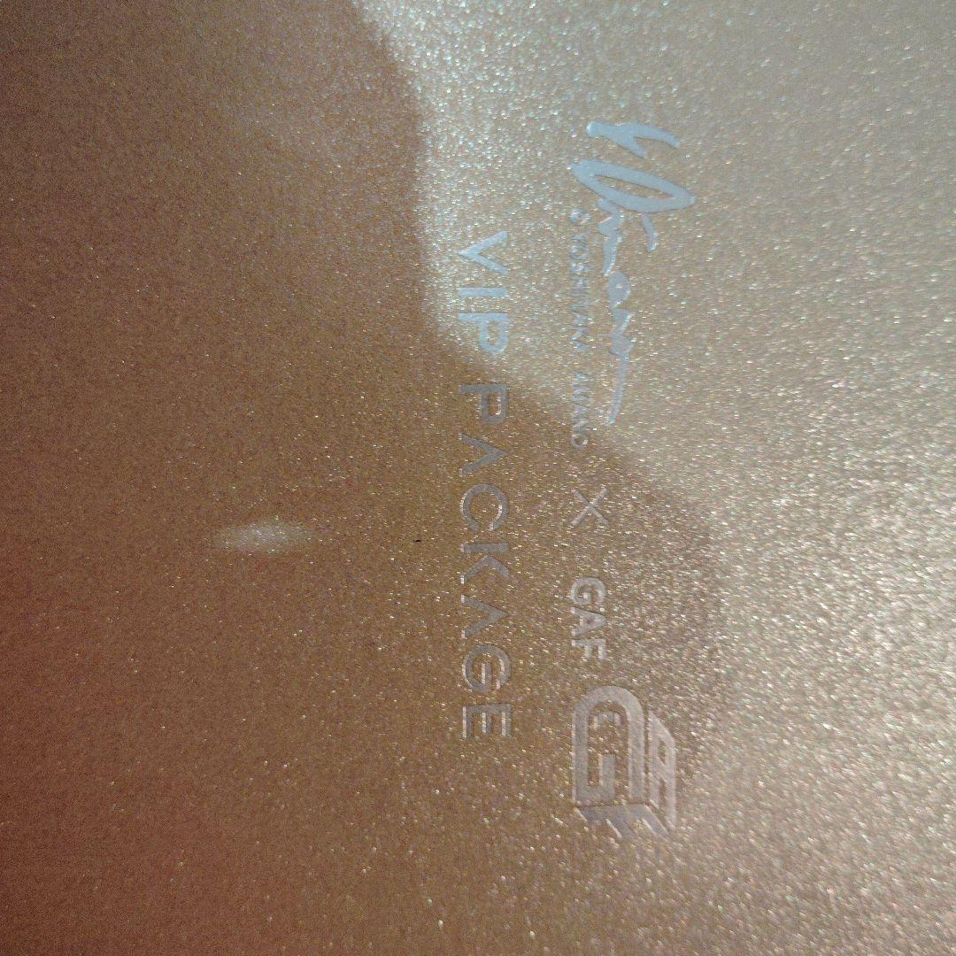 【数量限定】天野喜孝x GAF2025　VIPチケット有料特典ボックス