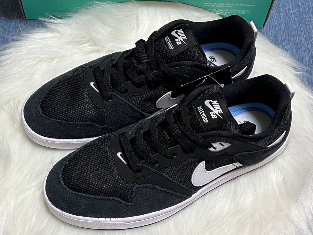 NIKE SB ALLEYOOPナイキ SB アリウープ ナイキ 28㎝