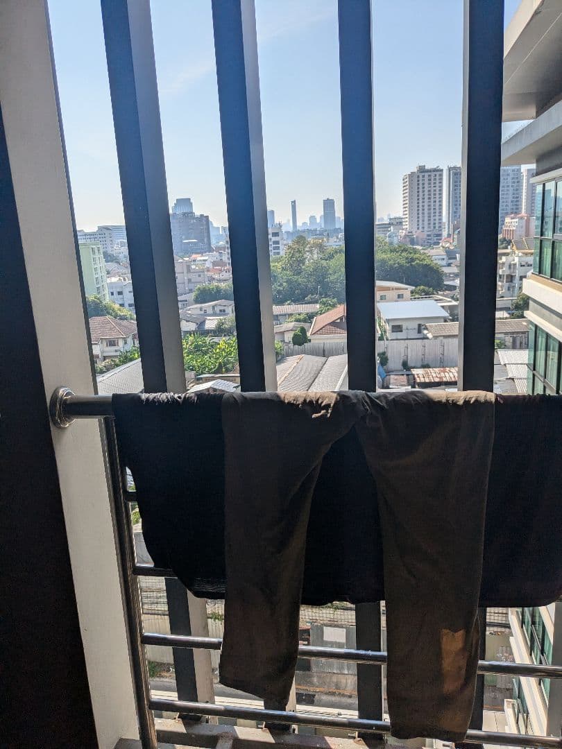 タイのお守りプラクルアン！1/24！九尾の狐！セクシーフィギュア！取説付き！