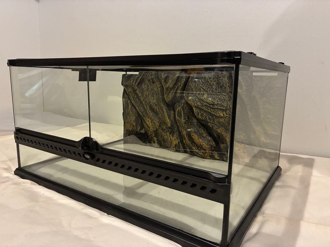 エキゾテラ グラステラリウム 6030 ガラスケージ GEX 爬虫類