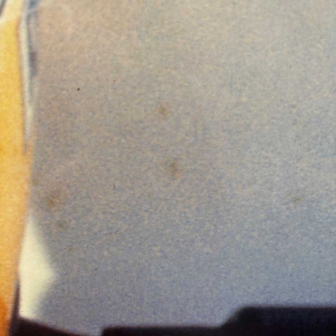 アイルトン.セナ ビッグパネル1960-1994