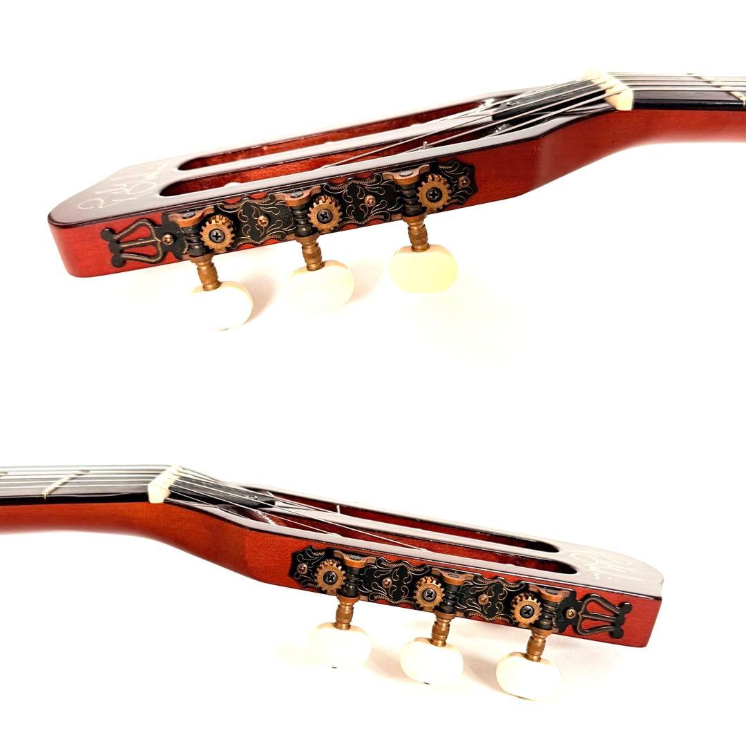 【希少】GODIN MULTIAC JAZZ SA セミアコースティックギター