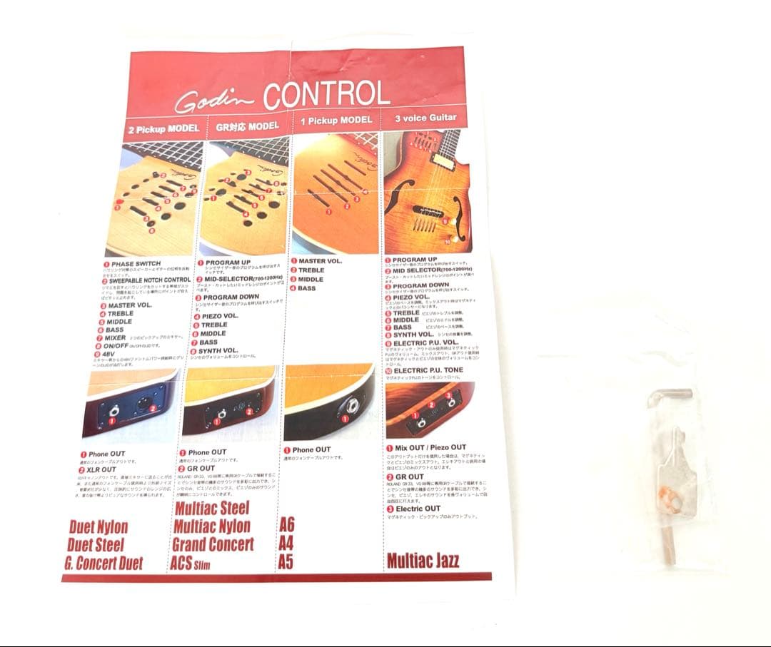 【希少】GODIN MULTIAC JAZZ SA セミアコースティックギター