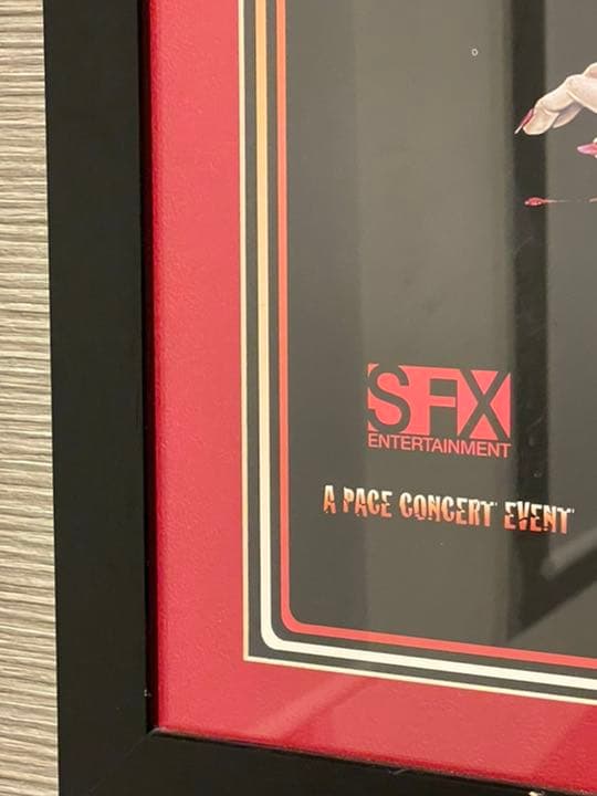 レア KISS キッス Texasライブポスター シルクスクリーン