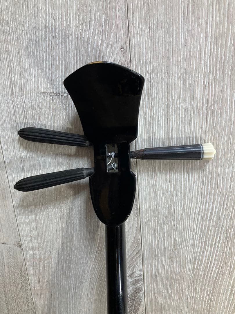 【登り竜ティーガ】沖縄三線✨本革強化張り✨訳あり