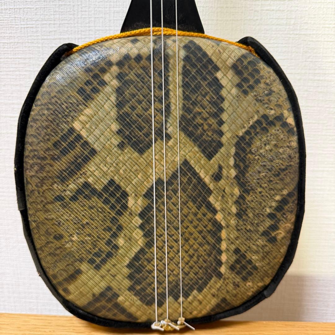 沖縄三線 人工皮 蛇柄 初心者向け 練習用 黒塗り棹