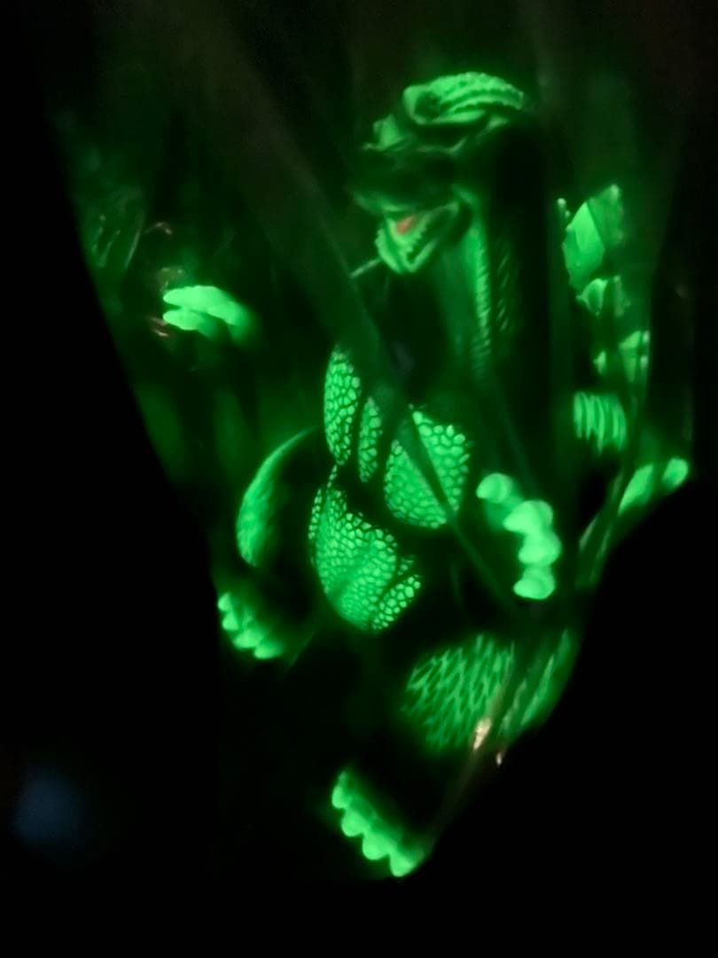 ゴジラ　新江ノ島水族館限定　相模湾深海ver. / Godzilla