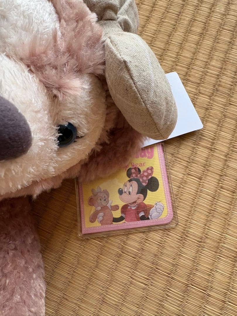 Duffy & ShellieMay ぬいぐるみ　ディズニーチケット付きザクラス