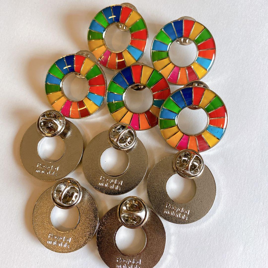 【特別提供品】SDGs  ピンバッジ　10点　新品未使用　【国連本部入手品】
