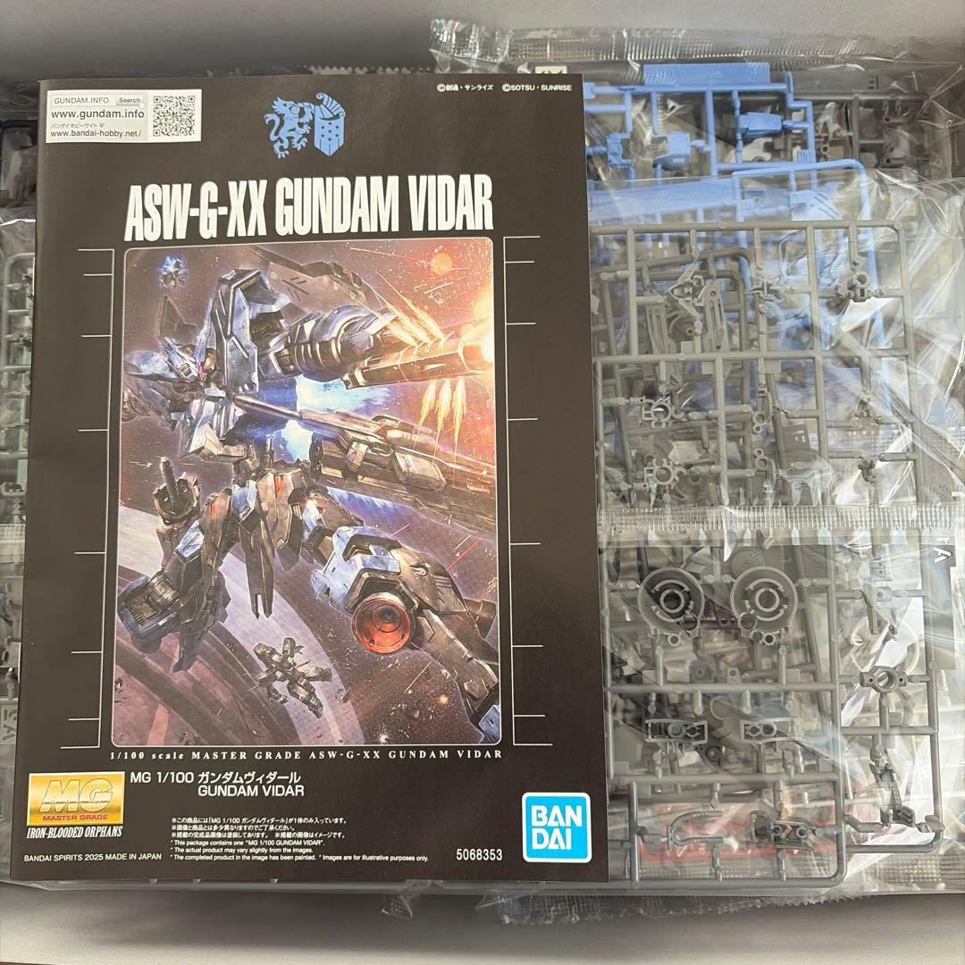 MG 1/100 ガンダム ヴィダール